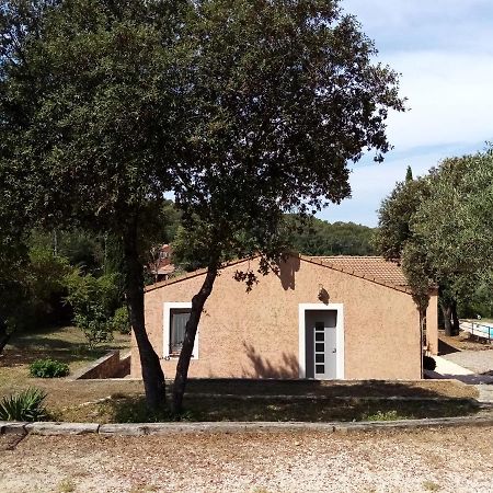 Comorebi Provence Entrecasteaux Exteriör bild